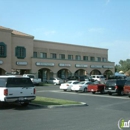 Dalia's Pizza - Pizza