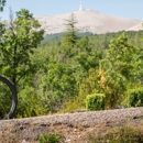 Archer's Bikes - Bicycle Shops