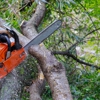 Massapequa Tree Service gallery