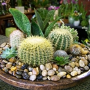 Exotic Plants Ltd. - Living Plant Rental & Leasing