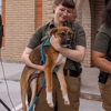 Victoria County Animal Advocates gallery