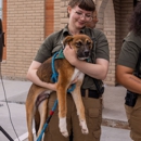 Victoria County Animal Advocates