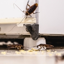 Aim Pest Solutions - Pest Control Equipment & Supplies
