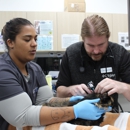 CityVet | Westminster Veterinary Clinic & Urgent Care - Pet Services