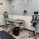 CityVet | Phillips Creek - Pet Services
