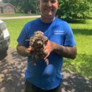 All Creatures Pest Control - Pest Control Services