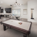 Camden Panther Creek Apartments