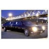 Thoroughbred Limousine gallery