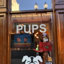 Pups - Pet Stores