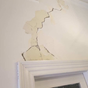 Gallery Image Number 4