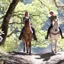 SANDI TRAILS, llc - Horse Training