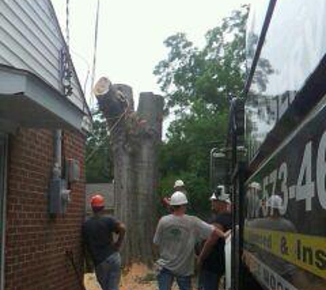 Broken Branch Tree Service LLC