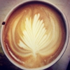 Atticus Coffee, Books & Teahouse gallery