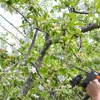Galvez Tree Service gallery