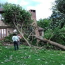 Even Family Tree Removal - Tree Service