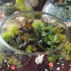 Modern Terrarium Bar By Recreateu gallery