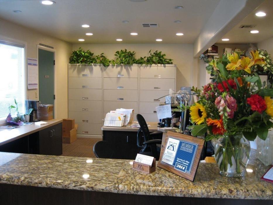 Morgan Nordstrom DDS, William C Vizzolini DDS INC