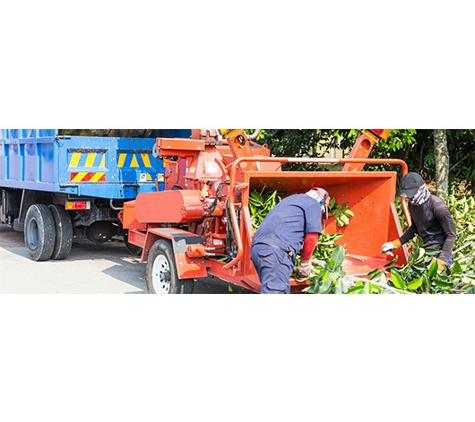All About Tree Services QLD - Elanora, QLD