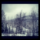 Eagle Ridge At Lutsen Mountain - Resorts