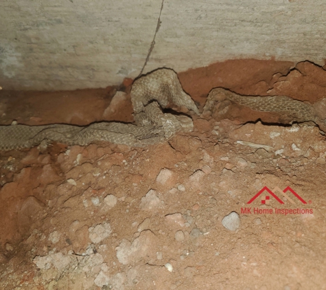 MK Home Inspections - Oklahoma City, OK. Crawl space inspection