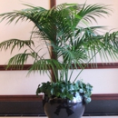 Accent Interiorscapes - Living Plant Rental & Leasing