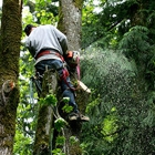 Turner Tree Service