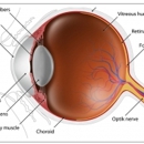 Glaucoma Associates Of Texas - Physicians & Surgeons, Ophthalmology