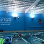 Bear Paddle Swim School - Woodridge