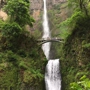 Multnomah Falls Lodge Restaurant