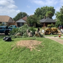 Texas Treehouse Tree Service & Stump Grinding - Tree Service