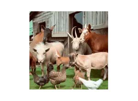 Condell Park Produce & Pet Supplies - Condell Park, NSW