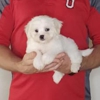 Heaven to Earth Rescue gallery