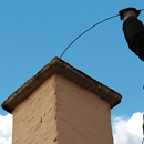 Loyalty Chimney & Dryer Vent Service LLC - Chimney Cleaning