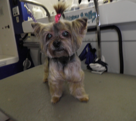 Happy Tails Pet Mobile Grooming - Pittsburg, CA