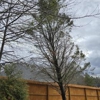 Loudermilk Tree Service gallery