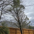 Loudermilk Tree Service - Tree Service