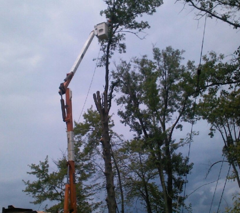 Russell Tree Service - Pinckney, MI