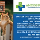 AMIGOS PET CLINIC - Veterinary Clinics & Hospitals