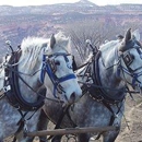 Absolute Prestige Limousine Service Ltd. - Limousine Service