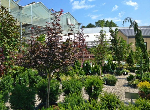 Family Tree Nursery - Liberty, MO