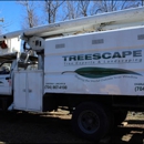 Treescape Tree Experts - Arborists
