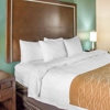 Comfort Inn & Suites San Marcos near Outlet Mall gallery
