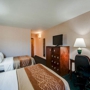 Comfort Inn Virginia Horse Center