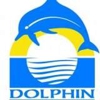Dolphin Pool & Spa gallery