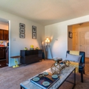 Hamilton Square Apartments - Apartments