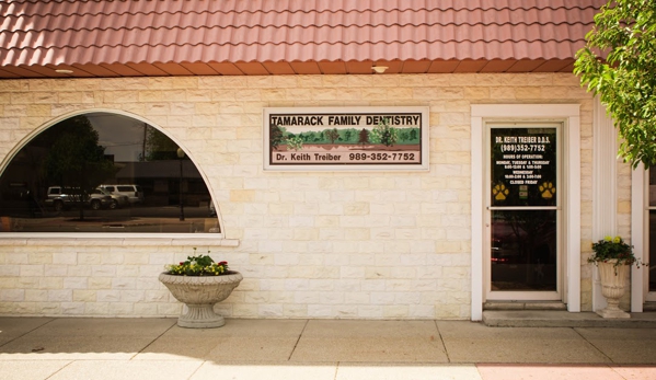 Tamarack Family Dentistry - Lakeview, MI