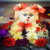Marilyn Flowers gallery