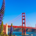 FirstService Residential San Francisco