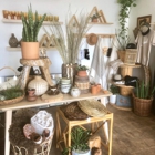 Petra De Luna Shop