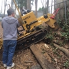 M & J Tree Service and Stump Grinding gallery